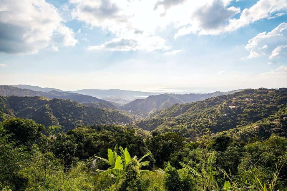 Jamaica: Blue Mountains Full Day Tour with Brunch & Lunch - Key highlights worth getting excited about