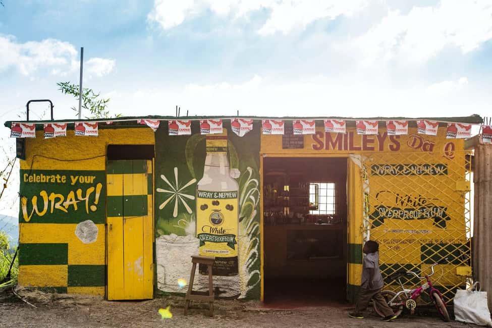Jamaica: Blue Mountains Full Day Tour with Brunch & Lunch - Rainforest walks, herbs, and bird-spotting breaks