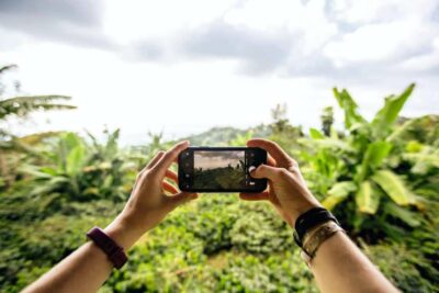 Jamaica: Blue Mountains Full Day Tour with Brunch & Lunch - Coffee farms: from mountainside plants to a tasting you can explain