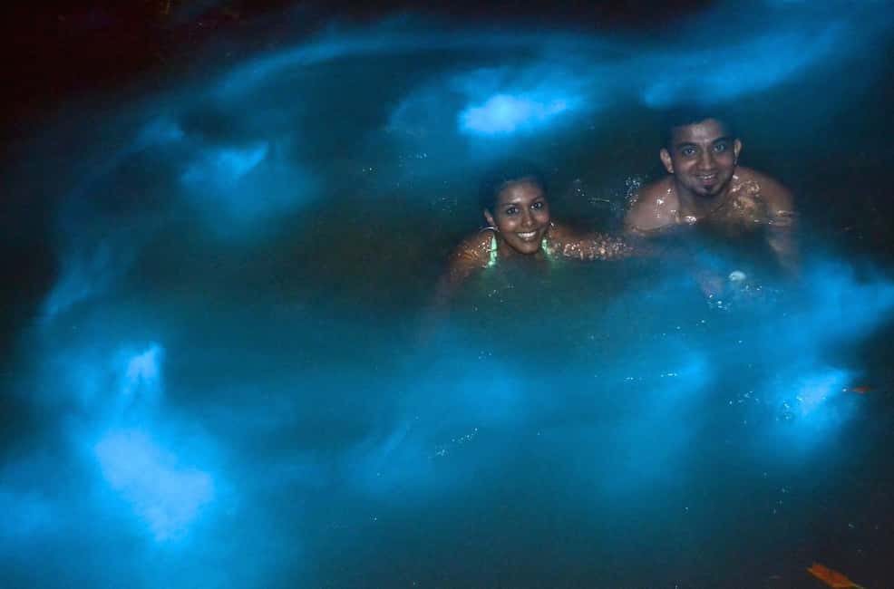 Jamaica: Bob Marley, Dunn's River Falls and Luminous Lagoon - The Big Three Stops: Nine Mile, Dunn’s River Falls, and Luminous Lagoon