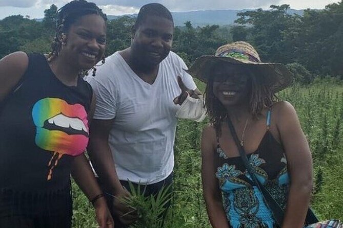 Jamaica Farm Private Dispensary Tour Montego Bay - Montego Bay Stops and Farm Time: What the Schedule Feels Like