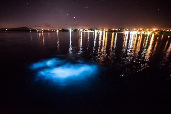 Jamaica Luminous Lagoon Private Tour with Transportation - A Night Boat Ride Where the Water Glows in Montego Bay