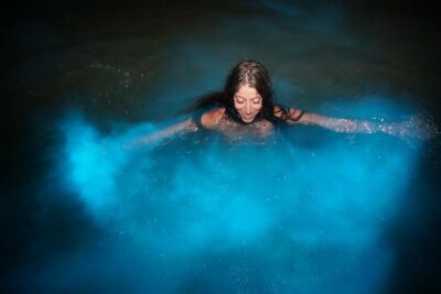 Jamaica Luminous Lagoon Private Tour with Transportation - What Makes the Luminous Lagoon Light Up (Dinoflagellates, Not Magic)
