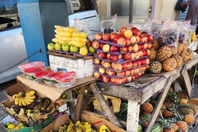 Jamaican Street Food and Rum Tasting Private Tour - What You’ll Taste: Jerk Chicken, Patties, and Jamaican Fruit