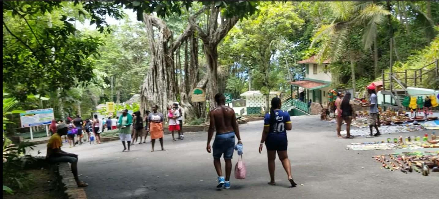 Jamaica's Dunn's River Falls & River Tubing Tour - What to Bring: Water Shoes, Sandals, and a Wet-Day Mindset