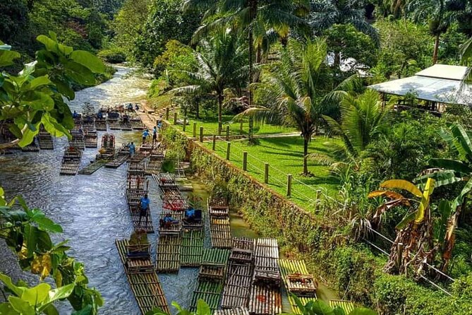 Lethe Bamboo River Rafting Tour - Jamaica's Vibest River - Service and vibe check: What the best outings feel like
