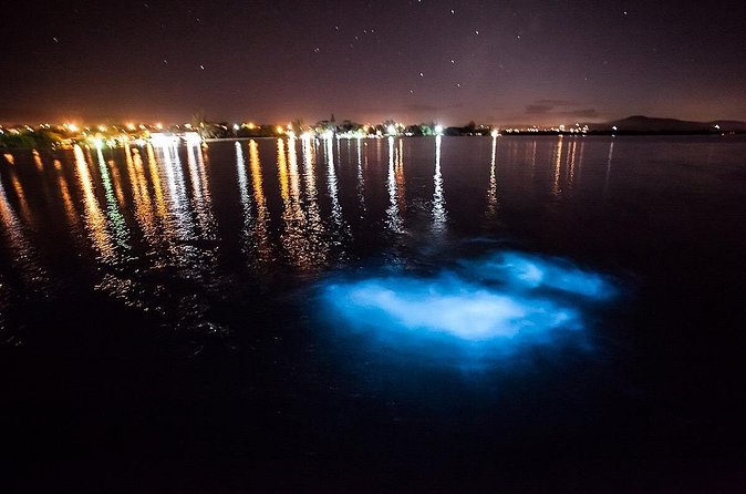 Luminous Lagoon Experience - The Boat Trip Out: Setting Up the Best Night Swim