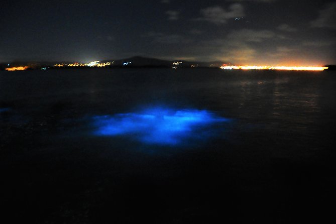 Luminous Lagoon "Glistening Waters" Tour from Grand Palladium Resorts - Who this tour suits best