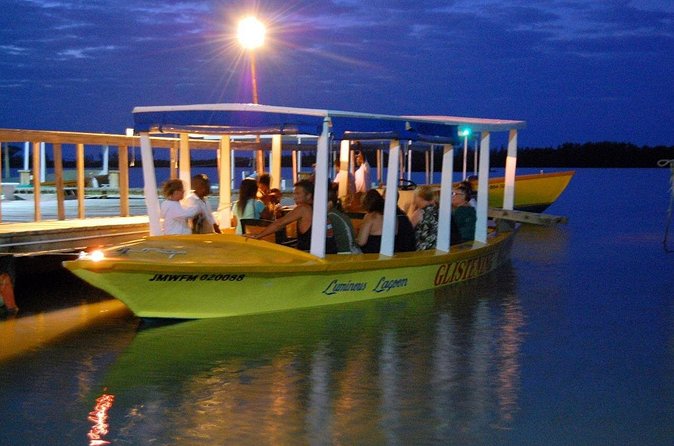 Luminous Lagoon Glow in the Dark Boat Tour from Montego Bay - What to bring and how to prepare for a cold, dark swim