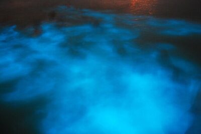 Luminous Lagoon Night Cruise From Montego Bay - On The Boat: Glowing Waters, Life Jackets, And A Dip