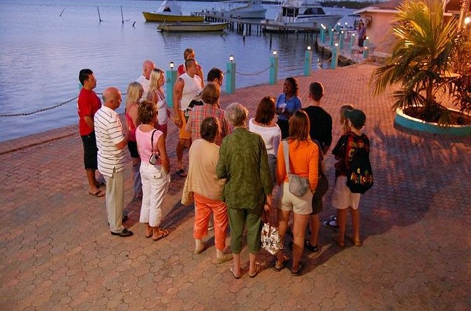 Luminous Lagoon Night Cruise From Montego Bay - Price And Value: What $95 Gets You In Montego Bay