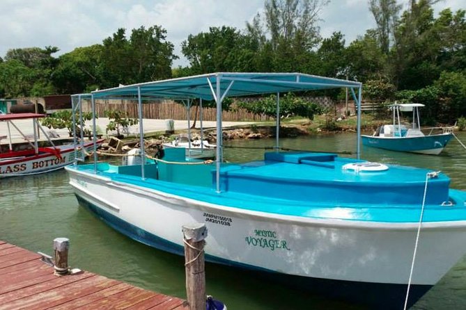 Luminous Lagoon Night-Time Tour from Montego Bay - Price and value: what the $105 really buys you