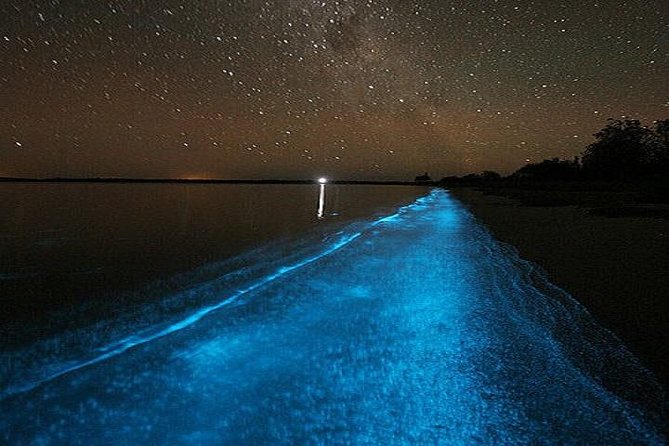 Luminous Lagoon Night-Time Tour from Montego Bay - What to wear and pack: your comfort kit for the dark