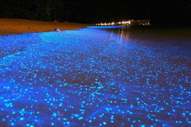 Luminous Lagoon Night-Time Tour from Montego Bay - Your lagoon swim: how to trigger the glow (without stressing)