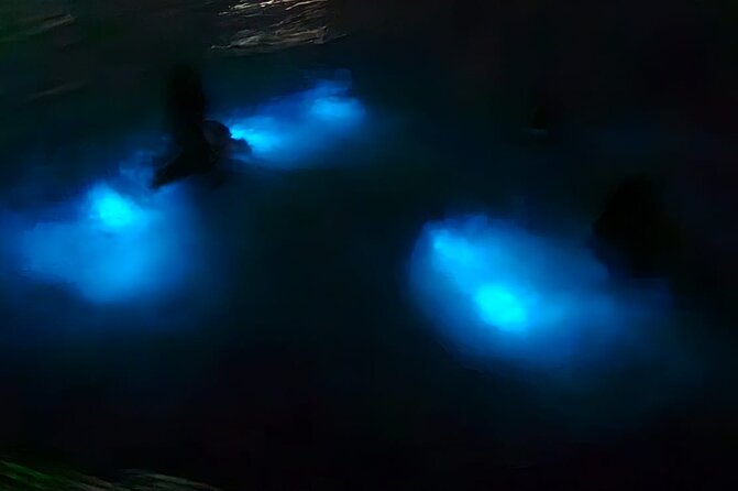 Luminous Lagoon Night Tour and Swim/Fire Dance from Montego Bay - Key Things to Know Before You Go to Luminous Lagoon