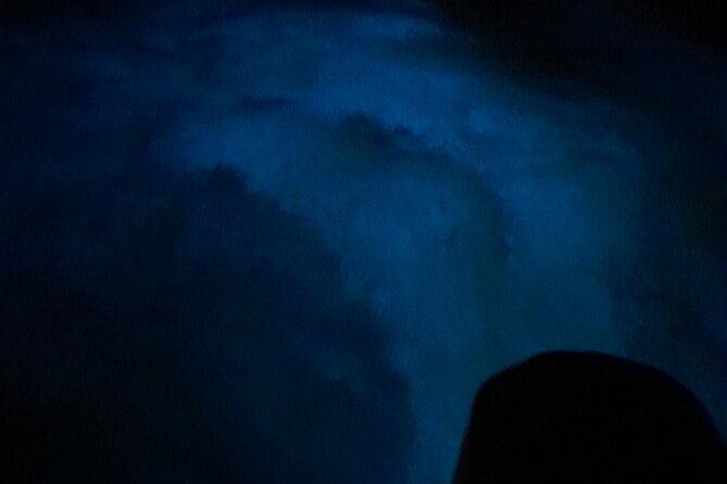 Luminous Lagoon Night Tour and Swim/Fire Dance from Montego Bay - Who This Tour Fits Best (and Who Might Feel Frustrated)