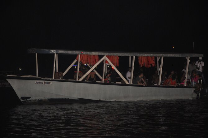Luminous Lagoon Night Tour from Montego Bay - Montego Bay to the glowing water, without the scramble