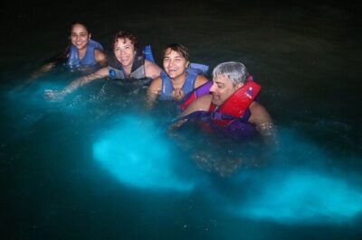 Luminous Lagoon Night Tour from Montego Bay - Rum Punch Welcome and On-the-Way Comfort: Small Details That Matter at Night