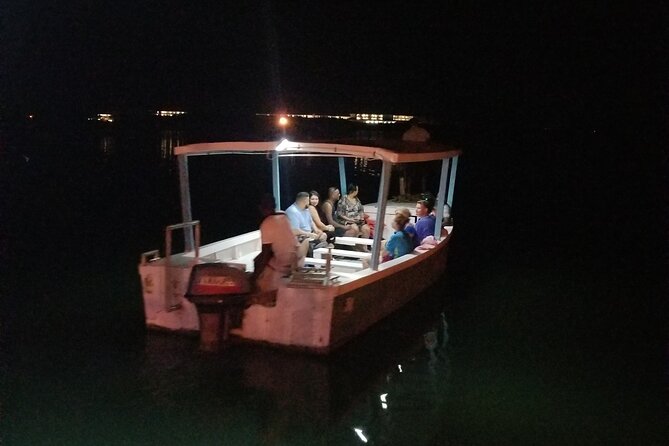 Luminous Lagoon Night Tour from Montego Bay - Group size and vibe: maximum 10 travelers