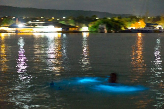 Luminous Lagoon Sightseeing Tour in Montego Bay - Key things I’d pay attention to
