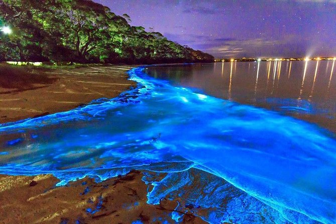 Luminous Lagoon Small Group Tour from Montego Bay - Key points before you go