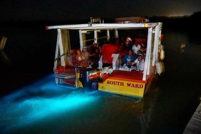 Magical Luminous Lagoon Private Tour - Montego Bay Pickup to the Glistening Waters dock