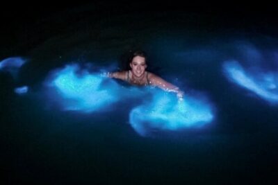 Magical Luminous Lagoon Private Tour - The swim moment: making the glow happen with your body