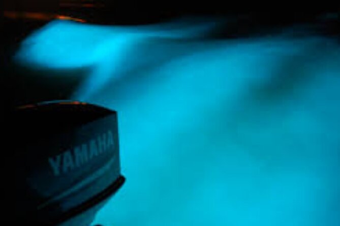 Magical Luminous Lagoon Private Tour - What to expect on the ground, from dock to hotel