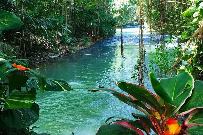Martha Brae Rafting Adventure - Value check: is $160 per person a fair deal?