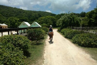 Martha Brae Rafting, Horseback Riding and Luminous Lagoon - Triple Treat - Montego Bay Pickup and How the Day Actually Flows