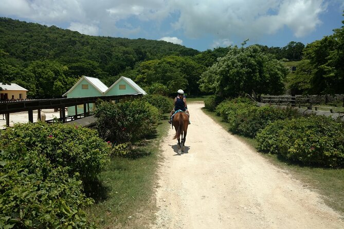Martha Brae Rafting, Horseback Riding and Luminous Lagoon - Triple Treat - Montego Bay Pickup and How the Day Actually Flows