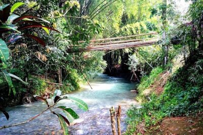 Mayfield Falls, Blue Hole & Rick's Café Tours/Weed Farm option - Blue Hole Mineral Spring: 22 Feet, Ladder Access, and Mineral Water Time