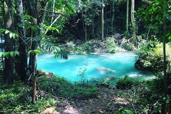 Mayfield Falls, Blue Hole & Rick's Café Tours/Weed Farm option - The Value Math: Why $190 Can Actually Make Sense