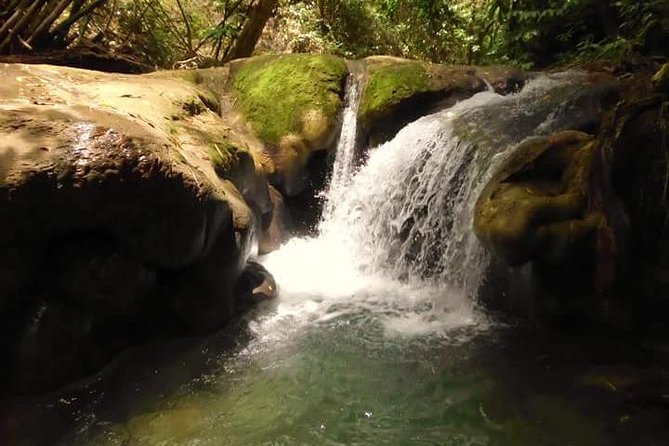 Mayfield Falls nature walk - Key things that make Mayfield Falls worth your time