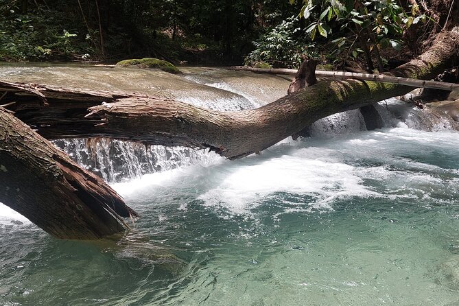 Mayfield Falls nature walk - Price and value: is $150 per person fair for this day?