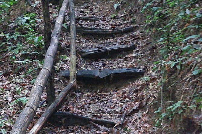 Mayfield Falls nature walk - Timing: a half-day that still feels full