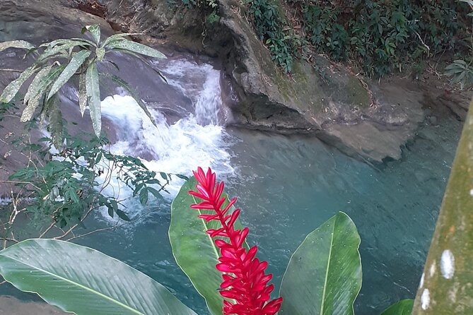 Mayfield Falls nature walk - What to pack so you don’t spend the day wishing you had it