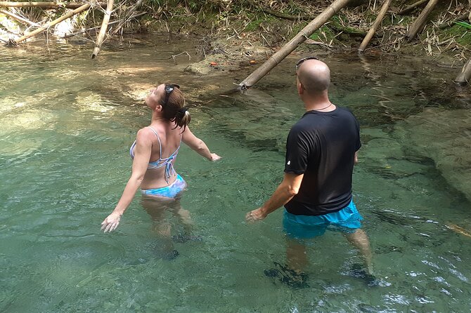 Mayfield Falls nature walk - Who this tour suits best (and who might want to skip)