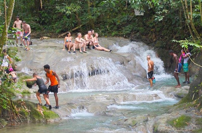 Mayfield Falls Private Tour - Guides and pacing: what private really changes