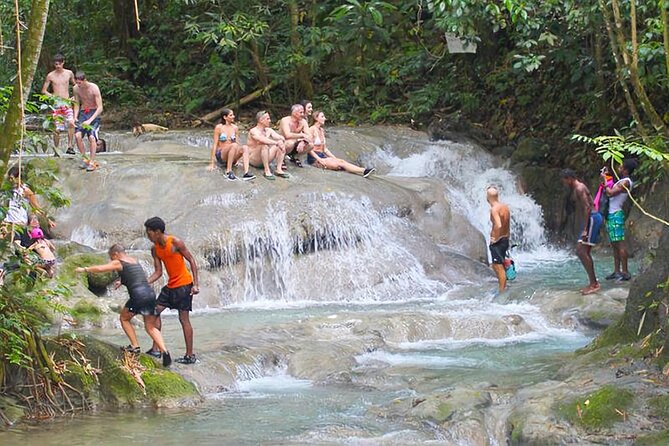 Mayfield Falls Tour with Lunch, drink, Entry & Transp(Original) - Key things to know before you go