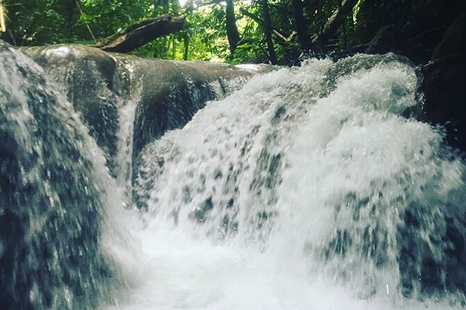 Mayfield Falls Tour with Lunch, drink, Entry & Transp(Original) - Lunch and drinks: plan for real food after wet time