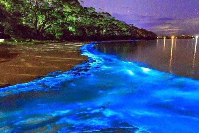 Mesmerizing Luminous Lagoon (Glistening Waters) Night Tour - Key things to know before you go