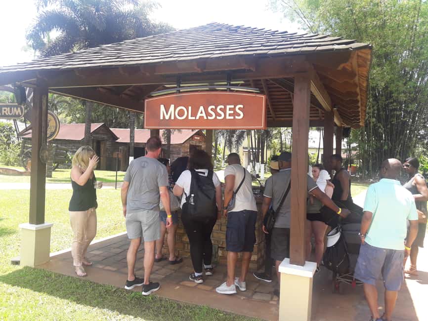 Montego Bay: 8-Hour Appleton & Pelican Bar Return Transfer - The Tasting Route at Appleton: Sugar Cane, Cane Juice, Molasses, Rum