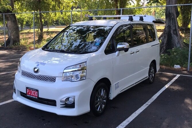Montego Bay Airport Taxi to Princess Grand Jamaica Green Island - Quick Highlights Before You Land