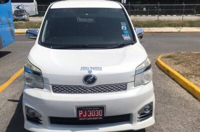 Montego Bay Airport Taxi to Princess Grand Jamaica Green Island - Inside the Ride to Princess Grand Jamaica Green Island: Comfort Plus Safety Checks