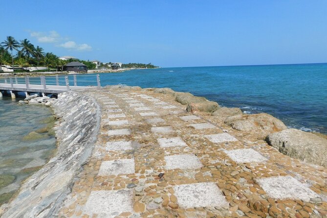 (Montego Bay area)Private Custom Design Transportation One Way - Safety and punctuality: why the driver matters more than you think