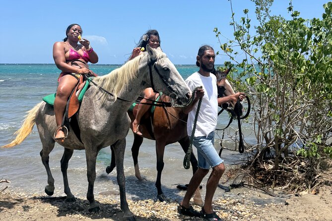 Montego Bay Beach Horseback Riding Tour - Orientation and matching: how the ride stays comfortable