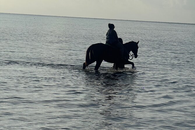Montego Bay Beach Horseback Riding Tour - The main event: a 30-minute shoreline ride