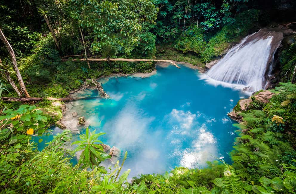 Montego Bay: Blue Hole, Dunn’s River, and Beach Club Trip - Dunn’s River Falls: The Hands-On Climb and Plunge Pools