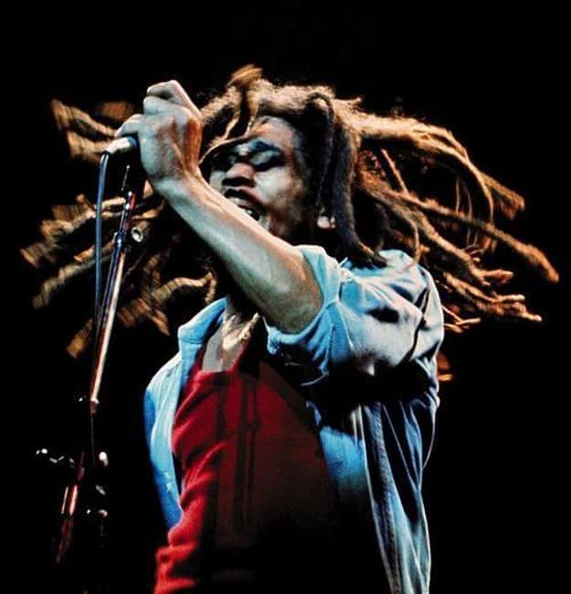 Montego Bay: Bob Marley Tour to 9 Mile, St. Ann - From Montego Bay to 9 Mile: How the 7 Hours Work